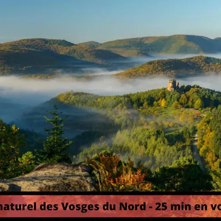 Duplex - Le Cosy - Hyper Centre